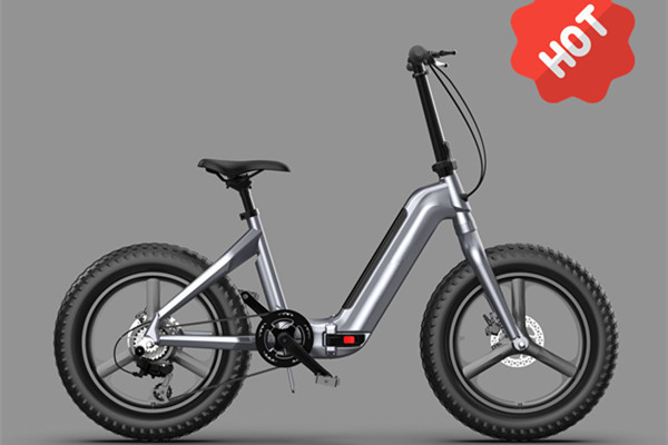 Fat-Tire Electric Bike